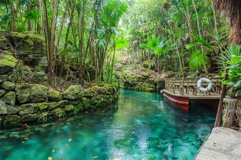 xcaret natural adventure park cozumel|Ecological parks and nature activities 